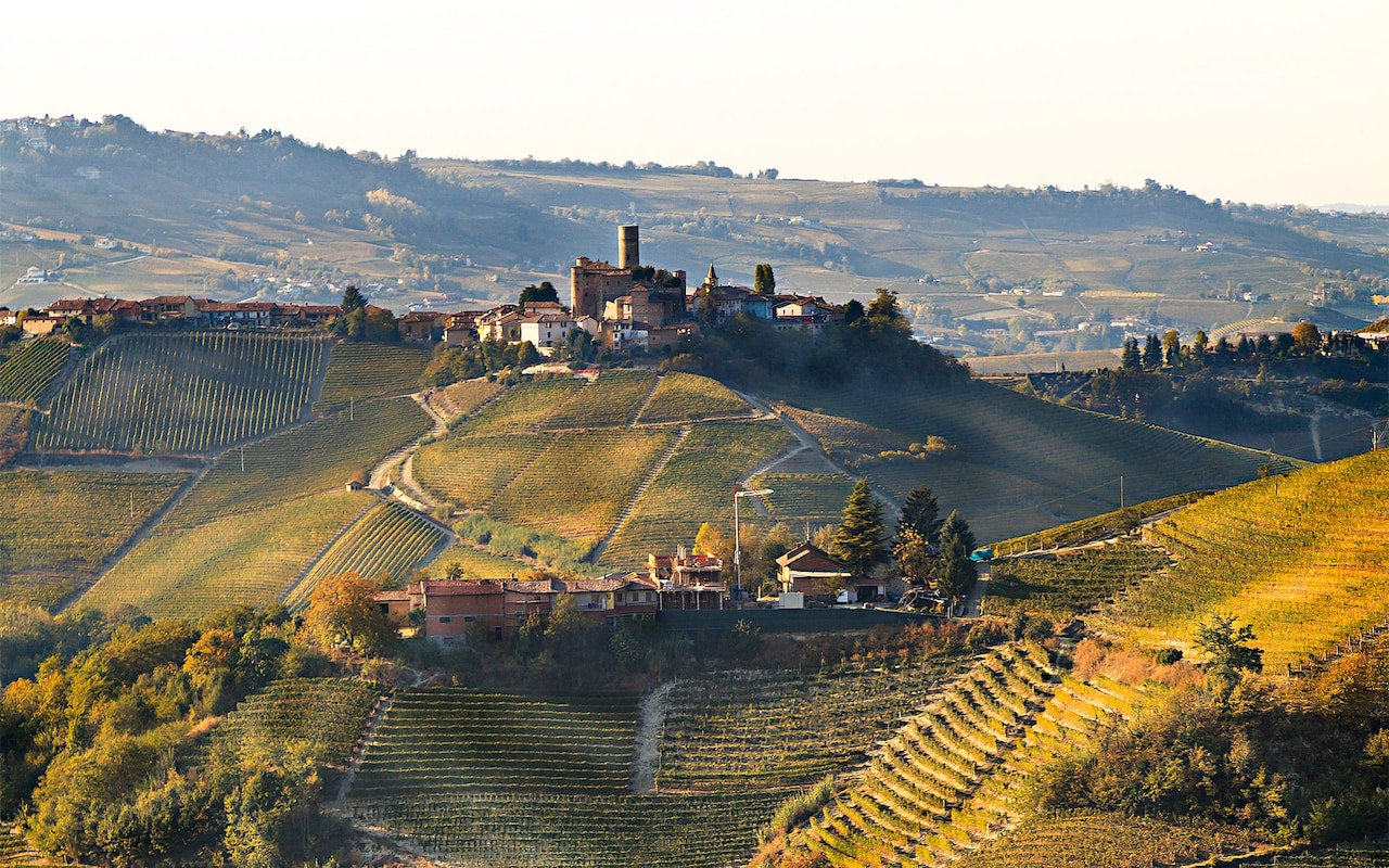 THE BEST TIME TO PURCHASE PIEDMONT WINE
